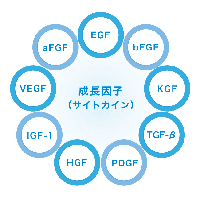 成長因子(サイトカイン)図